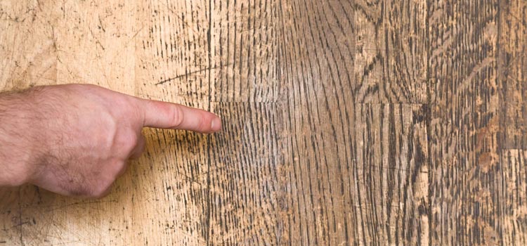 Wood Door Scratch Repair in Cudahy
